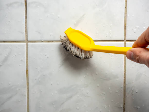 Best Emergency Mold Remediation in Fridley, MN