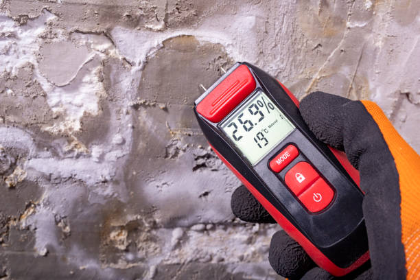 Best Commercial Mold Remediation in Fridley, MN