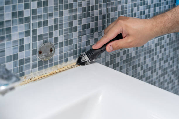 Fridley, MN Mold Remediation Company